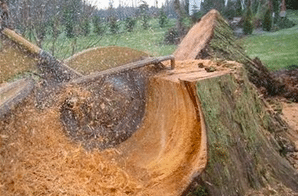 Stump Grinding